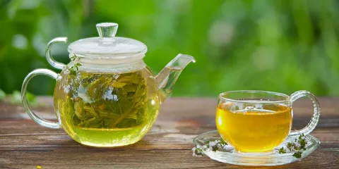 تصویر 1 از راهنمای خرید چای سبز شهرزاد + قیمت عالی